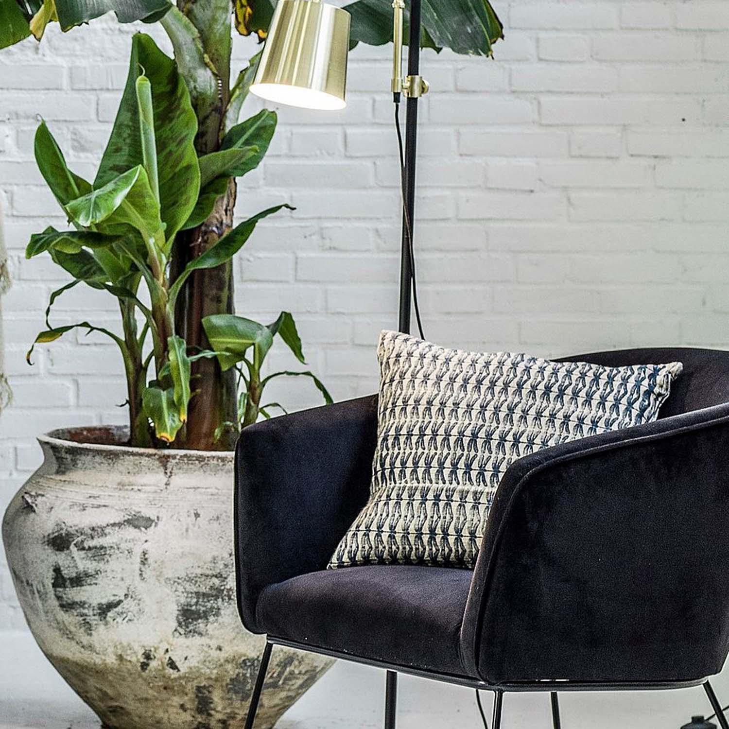 Annons:5 F5 (42).jpg